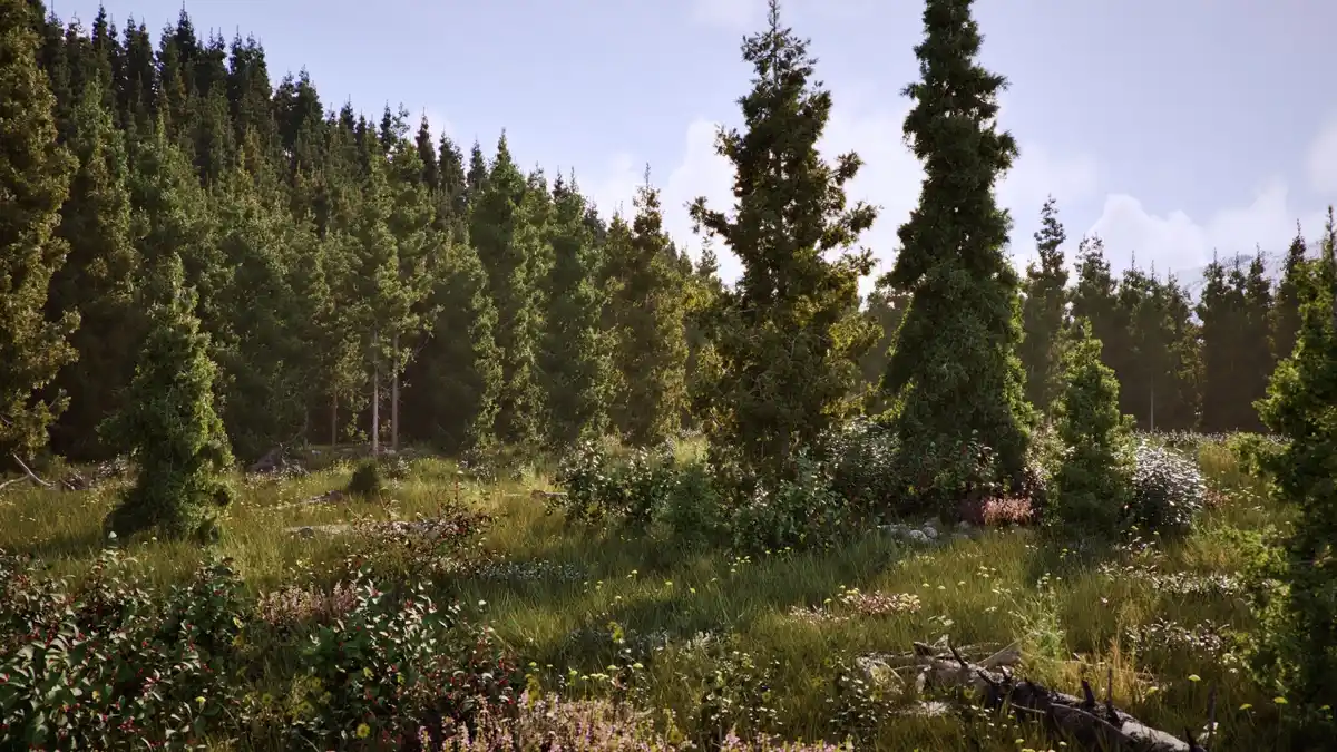 Twinmotion 2026.1 European Tree Pack